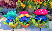 Image 1 of Oddish, Gloom and Vileplume in a pot