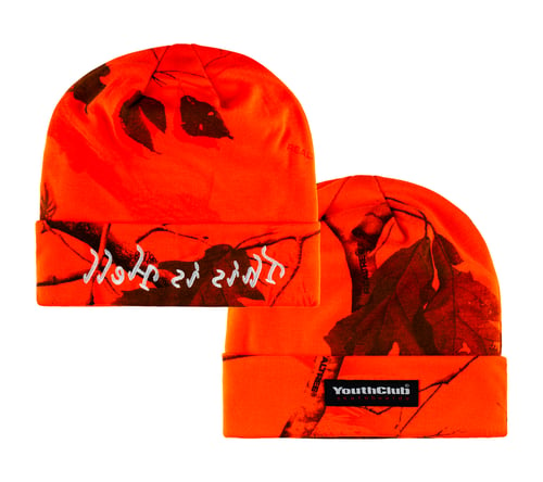 Image of This is Hell Beanie / Blaze REALTREE® AP
