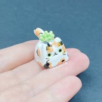 Image 1 of succulent calico cat ceramic keycap