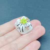 Image 5 of succulent white tiger ceramic keycap