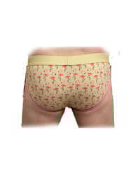 Image 1 of Flash Flamingo's: one of a kind.