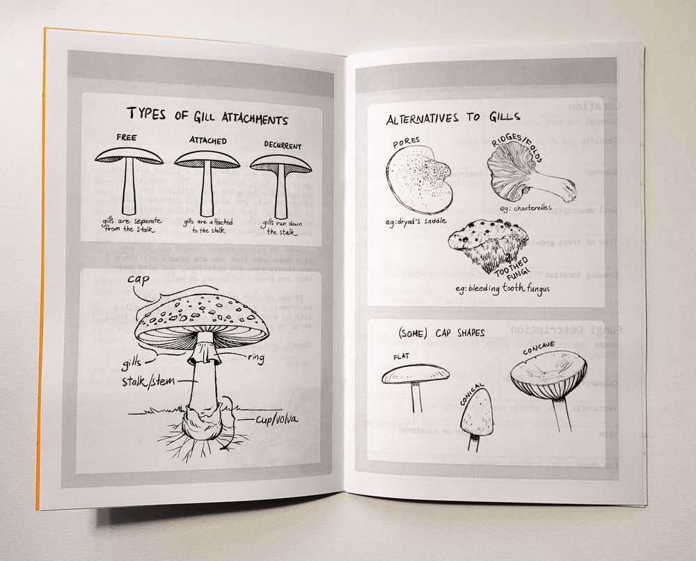 Mushroom Spotting Journal