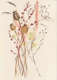 Autumn seed heads no. 5