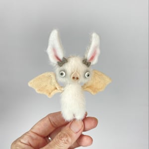 Image of Dawn the Baby Bat