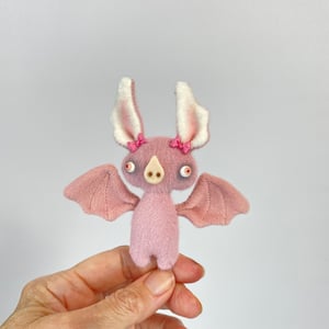 Image of Fay the Baby Bat