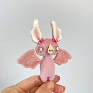 Image of Fay the Baby Bat