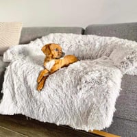 Dog Bed