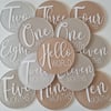 Hand Painted Milestone Disc Set