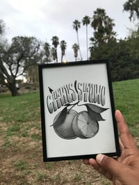 CITRUS STUDIO🍊