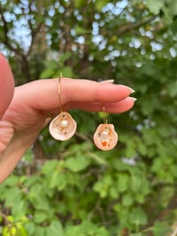 Image 4 of Gold Shell Hoops