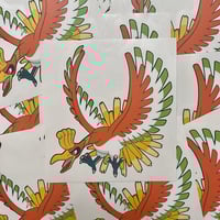 Rainbow Bird