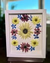 Genuine Sunflower, Delphinium And Red Cone Wildflowers In 8" X 10" Shadow Box (Item# 202203LS)