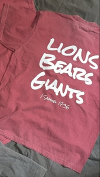 Lions Bears Giants