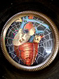 Image 3 of ANTIQUE ANATOMICAL COLLECTION - Preserved web- HEART