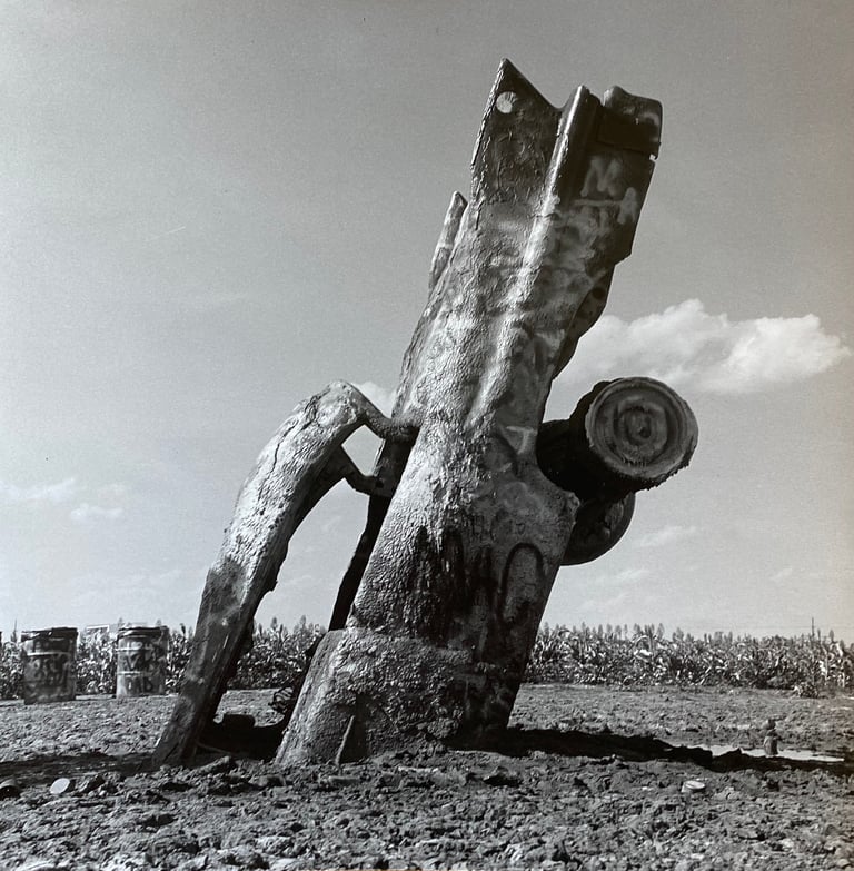 Silver gelatin print - 2 available