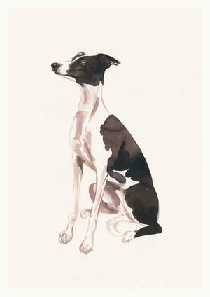 Image of Toby<br>A4 Print