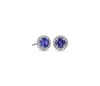 Tanzanite and Micropavé Diamond Stud Earrings in 14k White Gold (5mm)