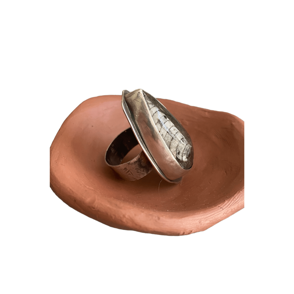 Ammonite Protector Ring