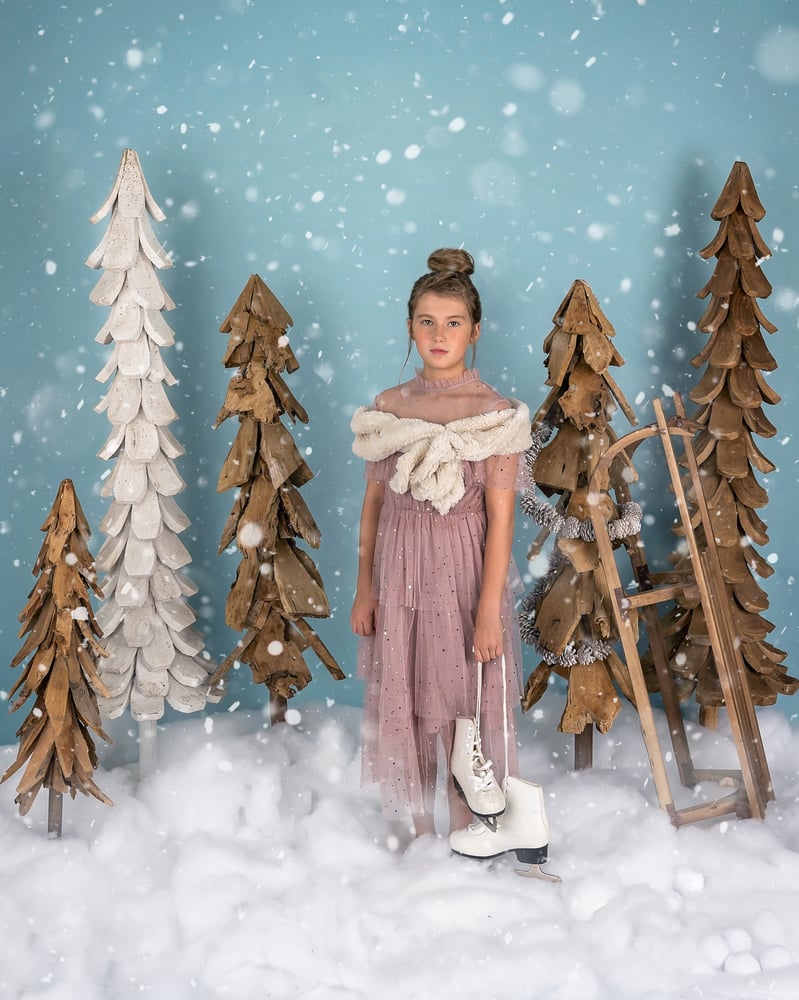 Image of Rustic Winter Set