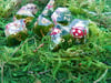 Mushroom Dice