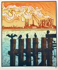 Image 1 of Teesside Cormorants