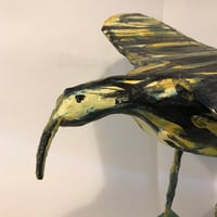 Image 2 of Kentish Bee Wader