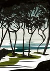Pineta