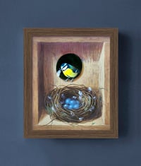 Image 1 of Secret Box - Blue Tit Nest