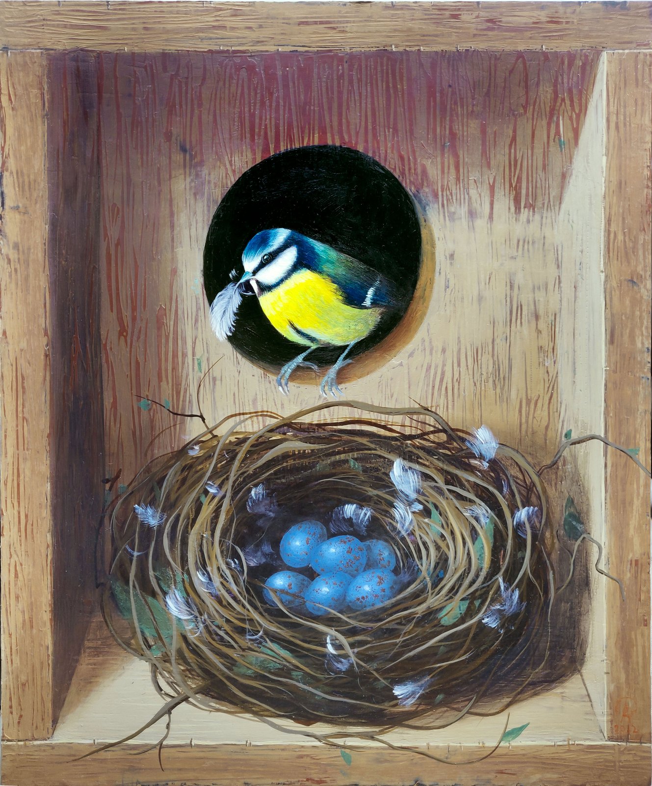 Blue tit deals nesting