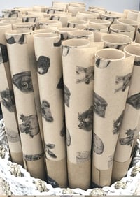 Image 3 of Australian Animal Gift Wrap 