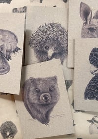 Image 1 of Australian Animal Gift Card Set