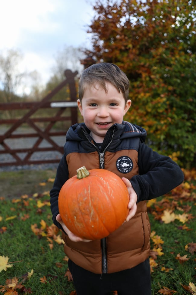 Autumn mini session (SUNDAY 23RD OF OCTOBER)