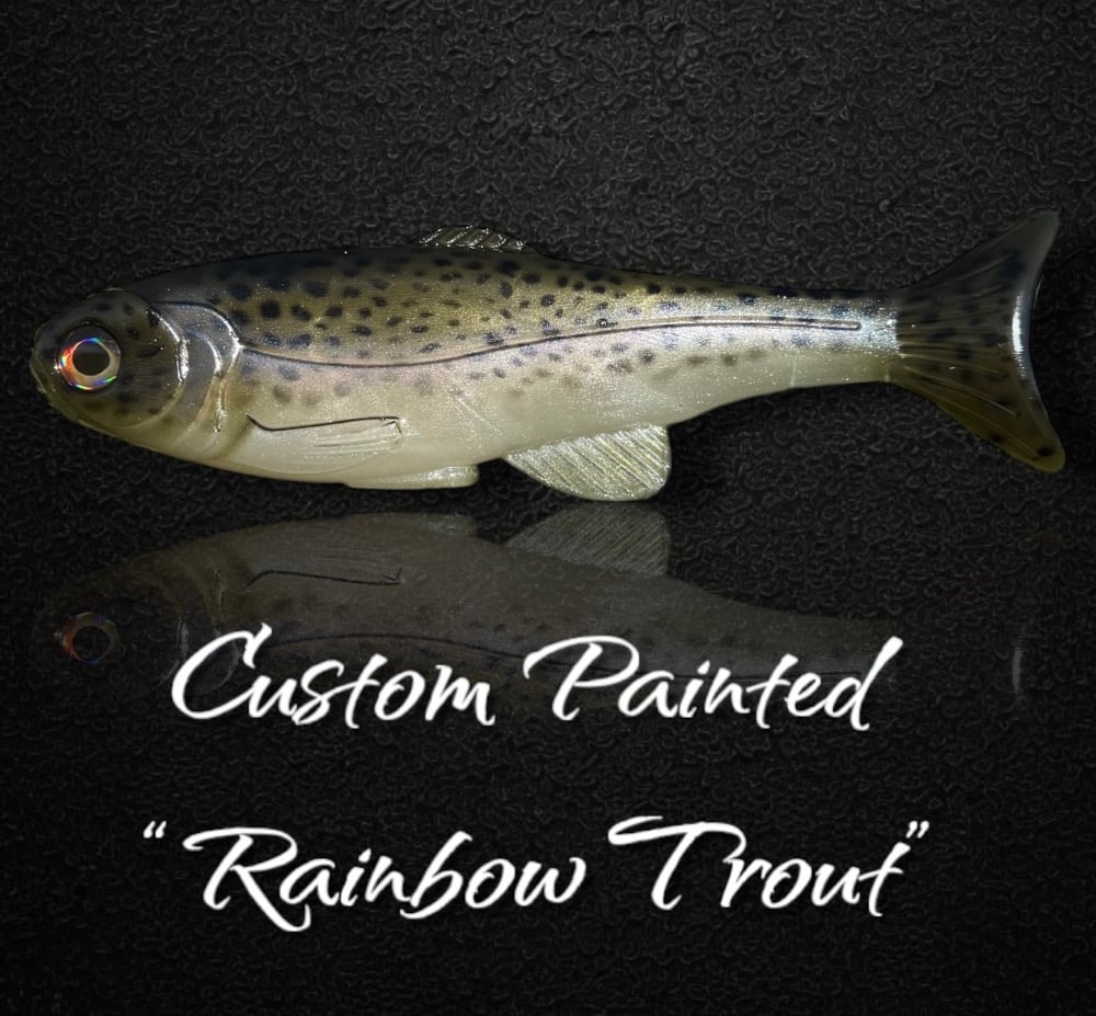 Roma Trout - Rainbow Trout