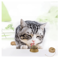 PRE-ORDER: Natural Catnip Ball Stickon Wall