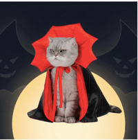 VAMPIRE CAT COSTUME 