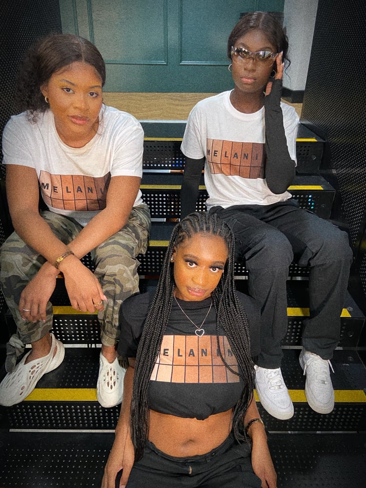 Image of Original Melanin T-shirt