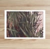 SISA SOLDATI - Glorious Yucca I
