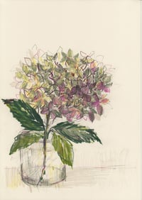 Autumn hydrangea no. 1