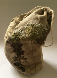 Image 2 of Wild flowers CCXIV