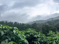 Image 5 of Cordillera de Fuego - Costa Rica | FILTRE