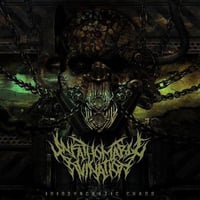 Unfathomable ruination “idiosyncratic chaos” 7’ vinyl