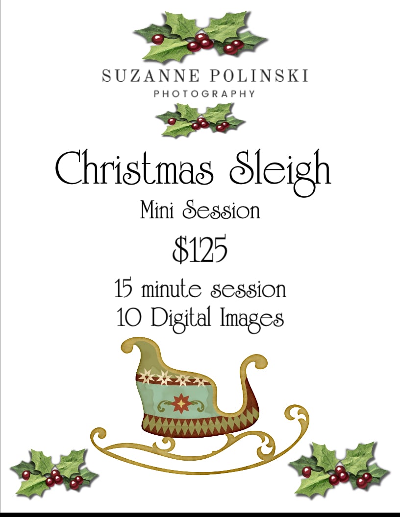 Image of Christmas Sleigh Mini Session Deposit $25.00 