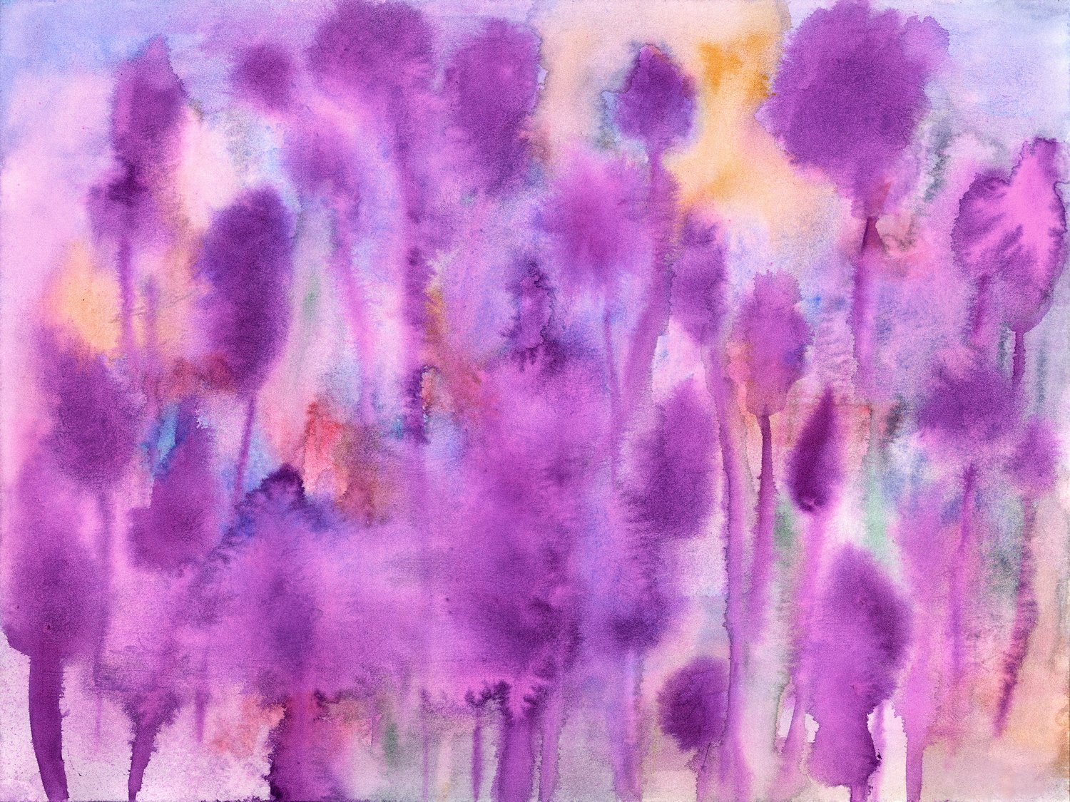 Larkspurs - Limited Edition (of 10) - 12 x 9" Giclée Print