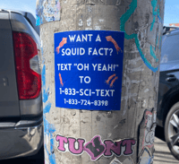 Image 2 of Squid Facts Hotline Sticker