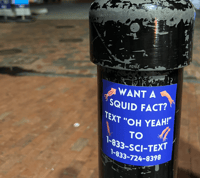 Image 3 of Squid Facts Hotline Sticker