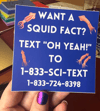Squid Facts Hotline Sticker