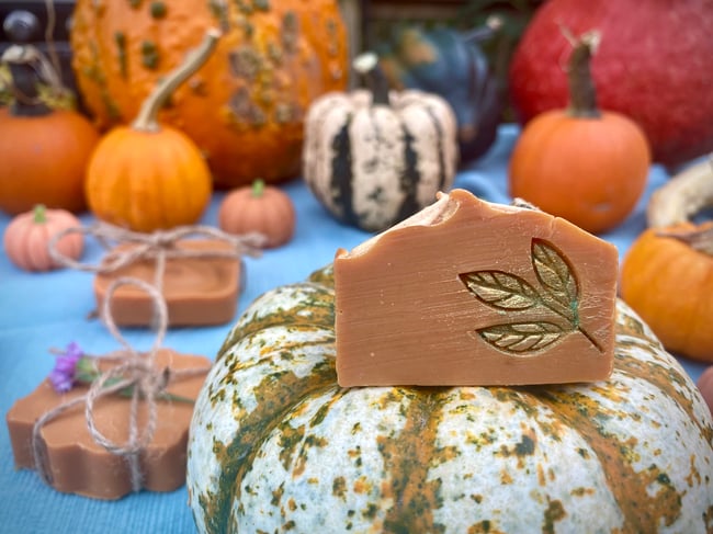 Fall Pumpkin Soaps / Natural Fall Soap / Fall Pumpkin Spice Soaps