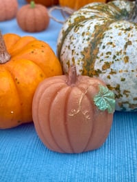 Image 4 of Glycerin Pumpkin Soap Assortment