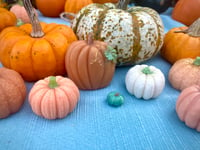 Image 3 of Glycerin Pumpkin Soap Assortment