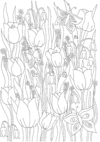 Image 2 of The Four Seasons: A Colouring book for all times of the year